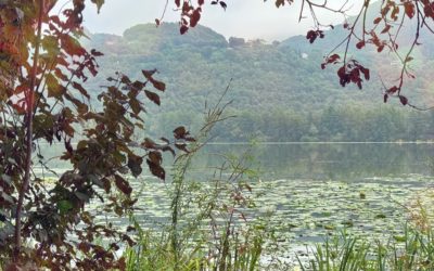 Una giornata speciale al lago di Fimon